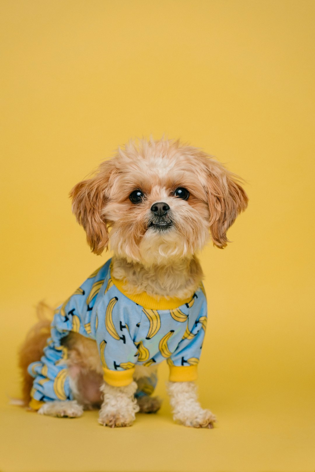 Banana PJs